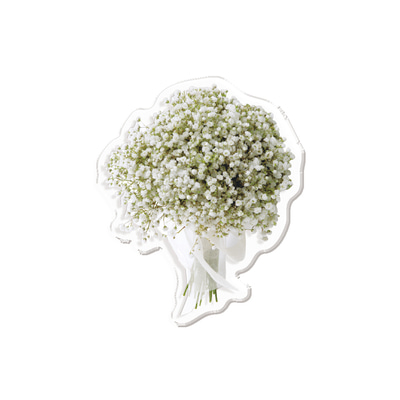 맥세이프톡 안개꽃